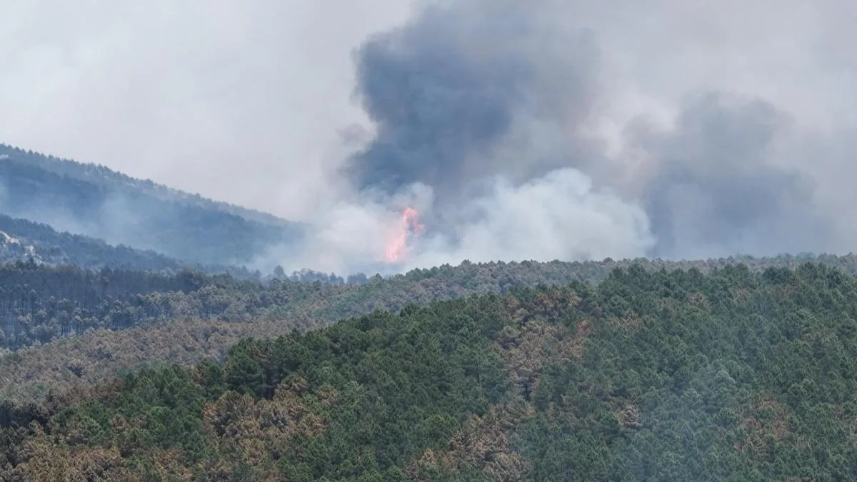 The Guadalajara fire exceeds 12,000 hectares burned and 700 evacuated in 16 municipalities