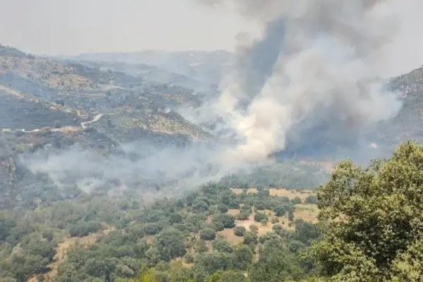 A fire in Fermoselle forces the evacuation of seven municipalities