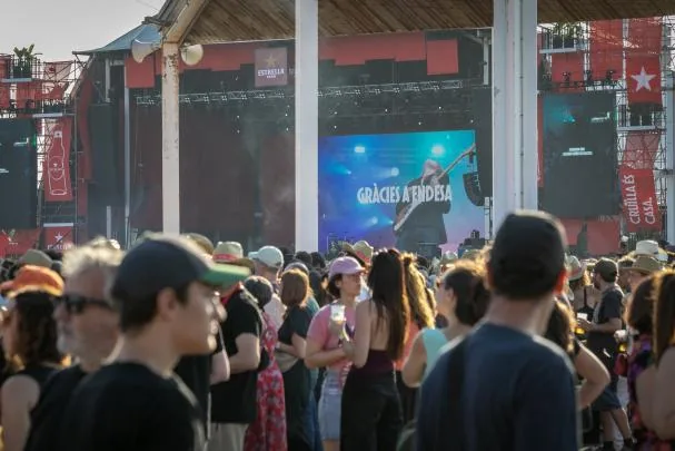 Audience at the Cruïlla Festival