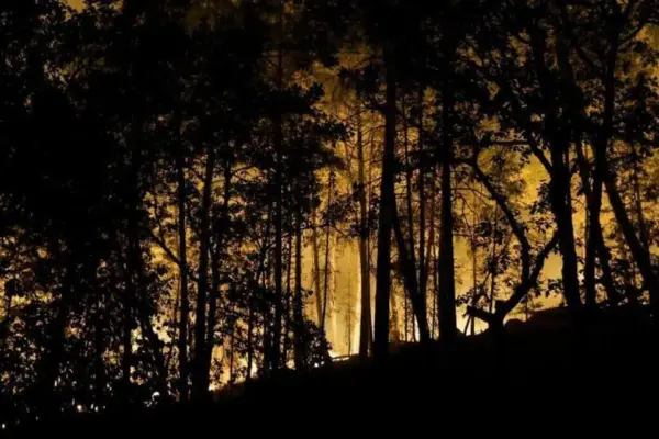 The forest of Fontainebleau is burning, a natural gem near Paris