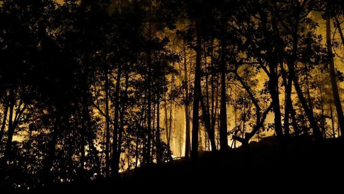 The forest of Fontainebleau is burning, a natural gem near Paris