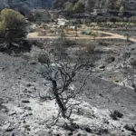 Searches end for the fire in Los Gallardos and the toll of 12 victims is confirmed