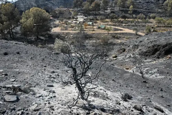 Searches end for the fire in Los Gallardos and the toll of 12 victims is confirmed