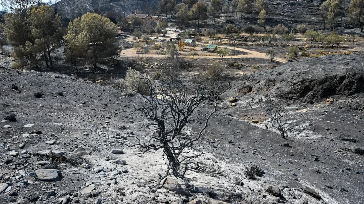 Searches end for the fire in Los Gallardos and the toll of 12 victims is confirmed