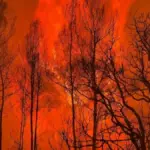 Topics, lies and hoaxes about forest fires