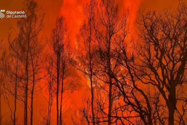 Topics, lies and hoaxes about forest fires
