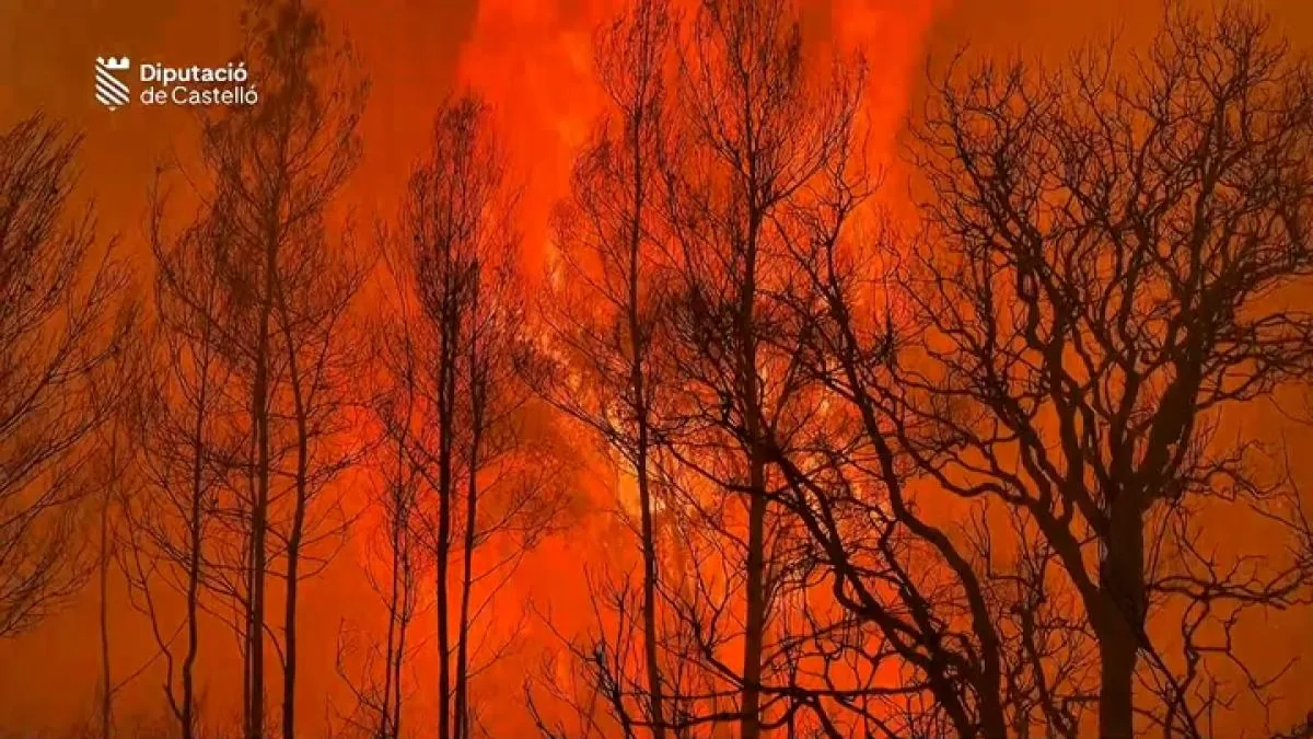 Topics, lies and hoaxes about forest fires