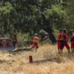 Fire in Niebla stabilized: the 417 evacuated people can return home