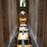 AI and university: reform or die