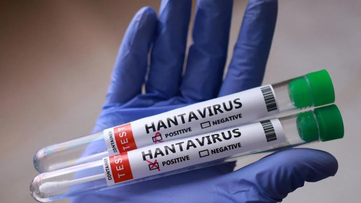 Health authorities report the case of a tourist with isolated hantavirus in Spain