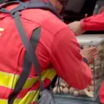A UME soldier dies during firefighting operations in the Riglos fire