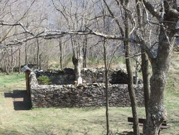 The modest cemetery, surrounded by beeches