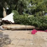 Two women injured by the collapse of a wall due to rain in Roda de Berà die