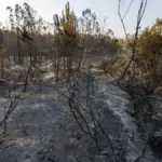 The fires in Huelva and Huesca worsen with new outbreaks during the night