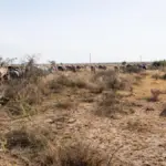 'El Niño' threatens to condemn 49 million more people to acute hunger