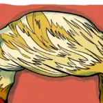 The wig metaphor