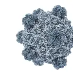 AI-designed viruses alert researchers about biosecurity