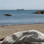 Attention: “The border of Ceuta is open”