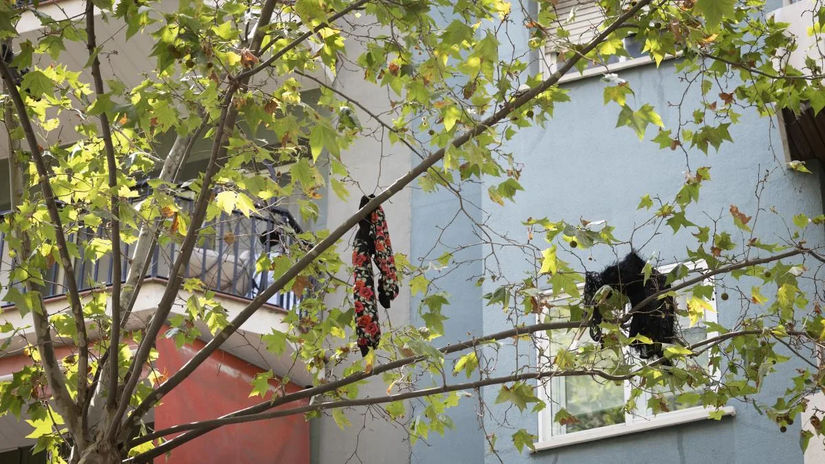 Neighbors of Muntaner ask the City Council to evict the apartment taken over by drug addicts