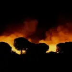 The fire in Niebla (Huelva) already affects a perimeter of 8,000 hectares