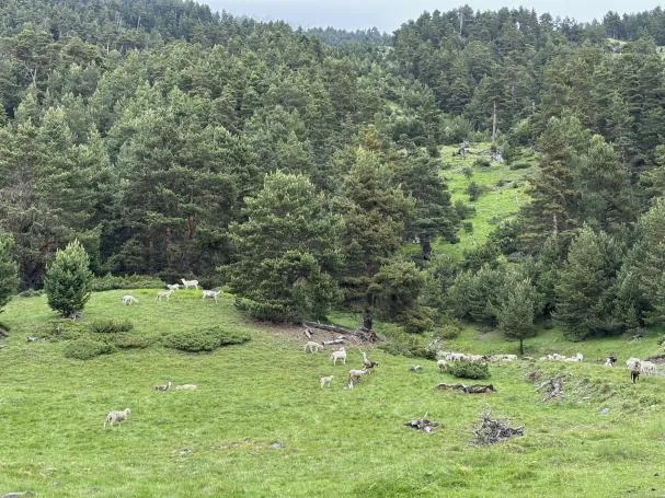 Imagen del Pirineo