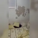 Dismantled in the very center of Ceuta a patera flat with 25 immigrants “in poor sanitary conditions”