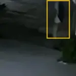 Identified El Trompas as the main suspect in the murder of student Claudia Tacoronte in Mexico