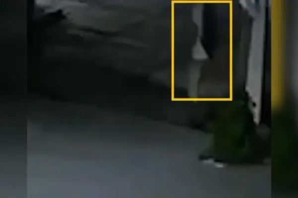 Identified El Trompas as the main suspect in the murder of student Claudia Tacoronte in Mexico