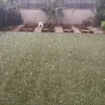The heavy rains are already falling in Catalonia and leaving a strong hailstorm in Girona