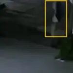 A security camera captured the moment when the murderer of Claudia Tacoronte in Mexico was leaving the crime scene