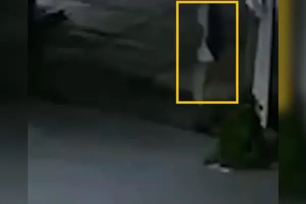 A security camera captured the moment when the murderer of Claudia Tacoronte in Mexico was leaving the crime scene