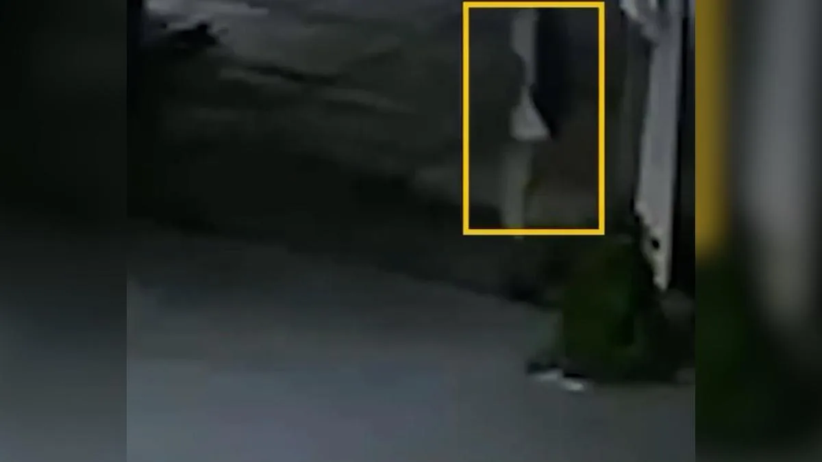 A security camera captured the moment when the murderer of Claudia Tacoronte in Mexico was leaving the crime scene