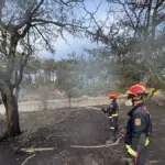 Firefighting efforts continue in the Santa María de la Alameda fire