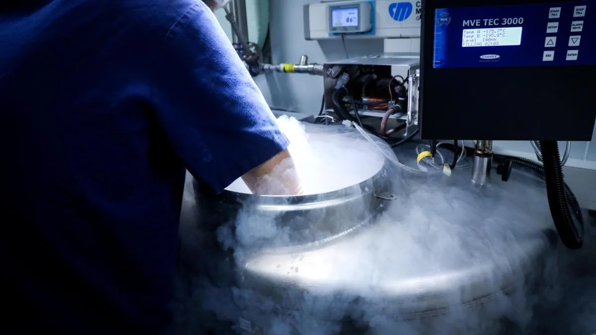 A study in Barcelona will determine if Ozempic promotes female fertility