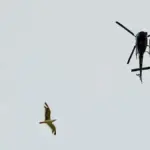 Confusion and complaints about a helicopter flying over Barcelona this Sunday morning